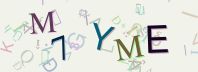 This is a captcha-picture. It is used to prevent mass-access by robots. (see: www.captcha.net)